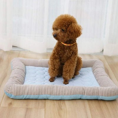tapis pour chien rafraichissant cozyfresh caniche