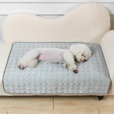 caniche tapis rafraichissant chien gris