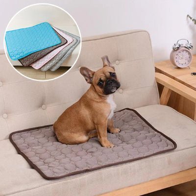 tapis rafraichissant chien bulldog