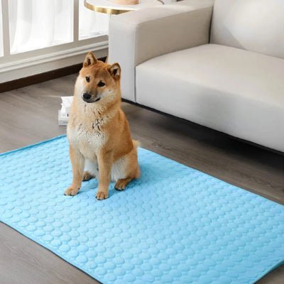 grand tapis rafraichissant chien