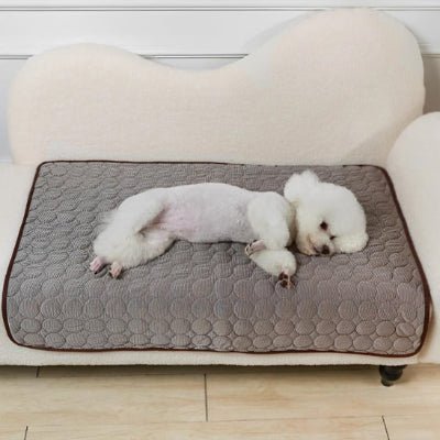 marron tapis rafraichissant chien caniche