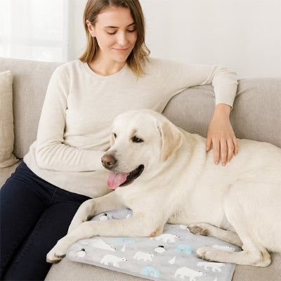 tapis rafraichissant chien coolmat labrador