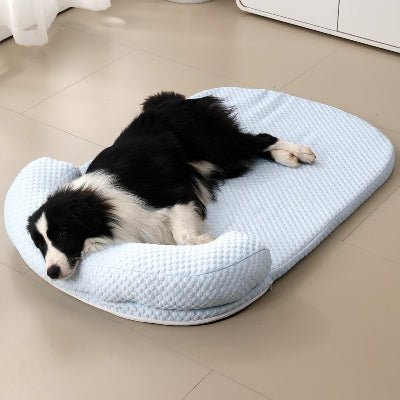tapis rafraichissant chien icedsilk bleu