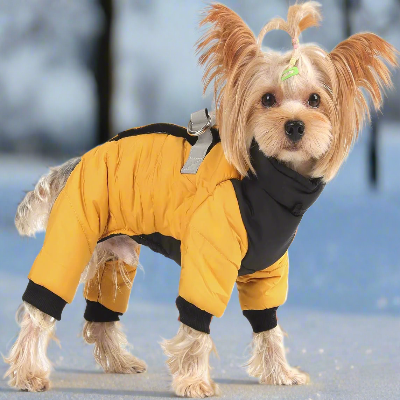 Doudoune pour Chien - WarmJacketDog™ - Jaune