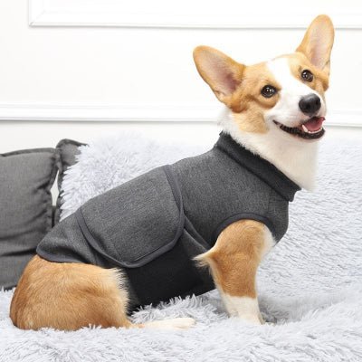 corgi vetement chien apaisant