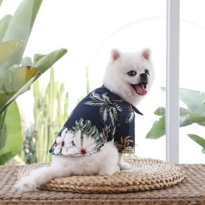 cool vetement pour chien hawaiian
