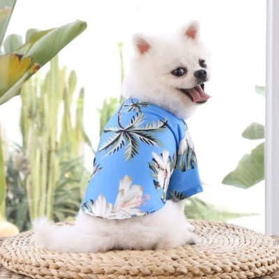 mignon vetement pour chien hawaiian
