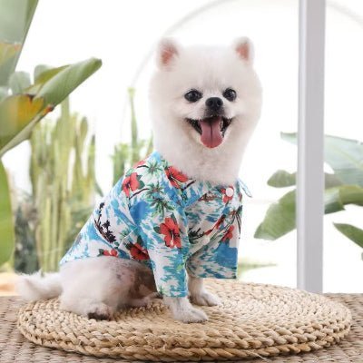 estival vetement pour chien hawaiian