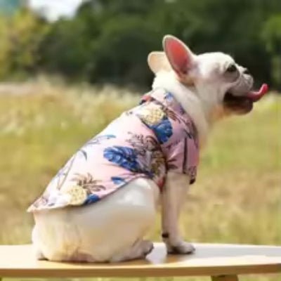 mode vetement pour chien hawaiian