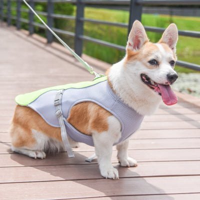 corgi vetement pour chien raffraîchissant 