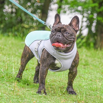 bulldog veste refroidissante