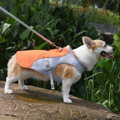 vetement chien raffraichissante corgi