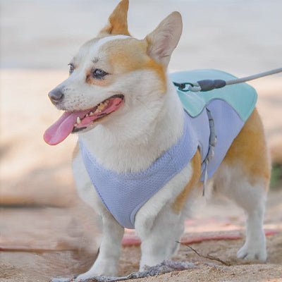 corgi vetement pour chien rafraichissant bleu
