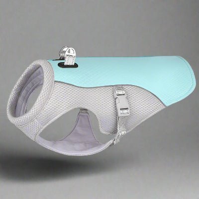 vetement pour chien rafraîchissant bleu violet