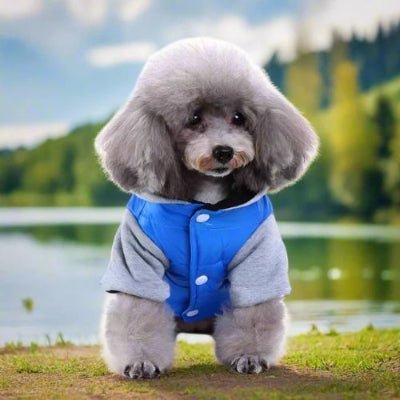 mignon vetement pour chien teddy lac