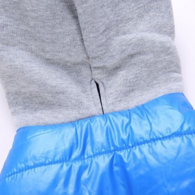 fente laisse vetement pour chien teddy